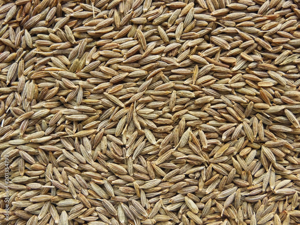 Close up macro of flat Cumin Seeds Rectangular shape heap image Close up macro of flat Cumin Seeds Rectangular shape heap image