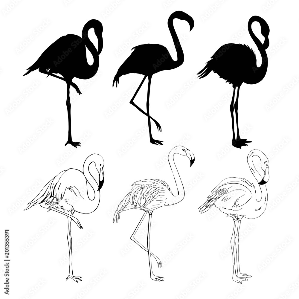 Naklejka premium Hand drawing flamingos. Vector illustration