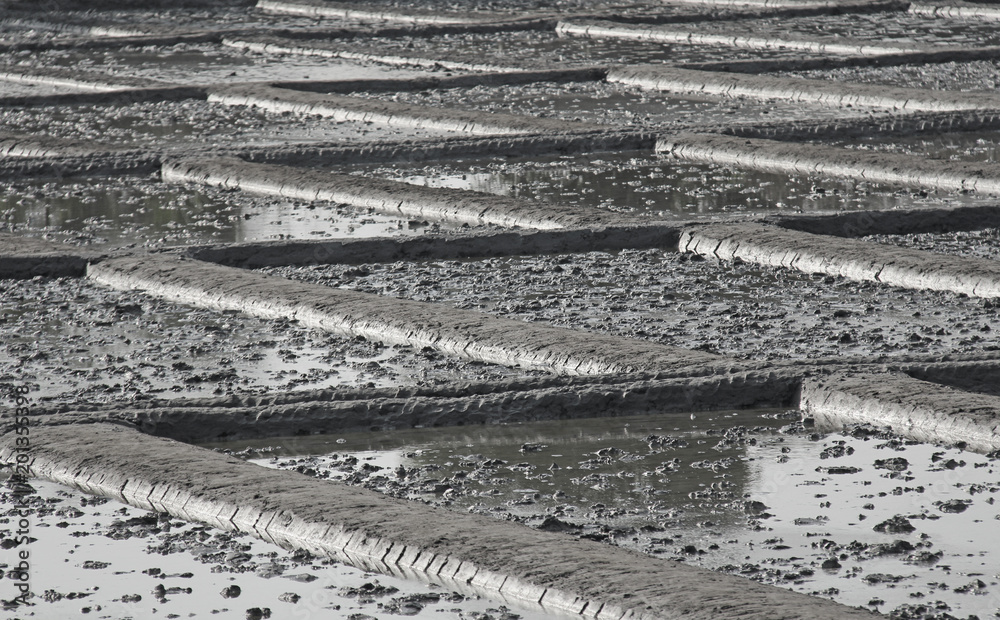 Mud Squares