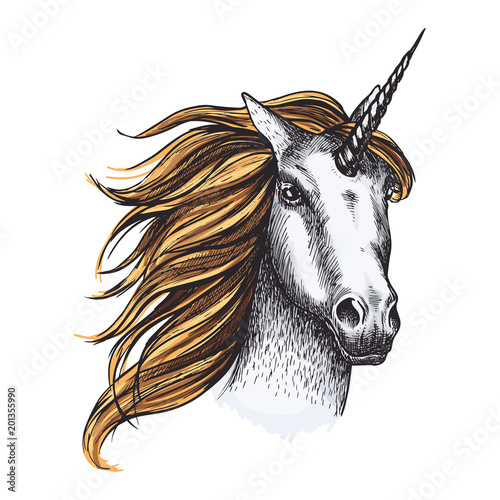 Unicorn horse vector sketch fairy tale animal