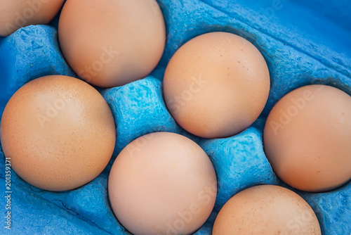 eggs in a blue texture tray photo