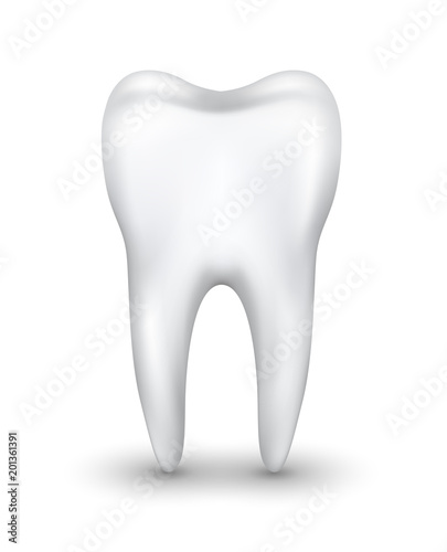 Vector realistic tooth illustration isolated on white background