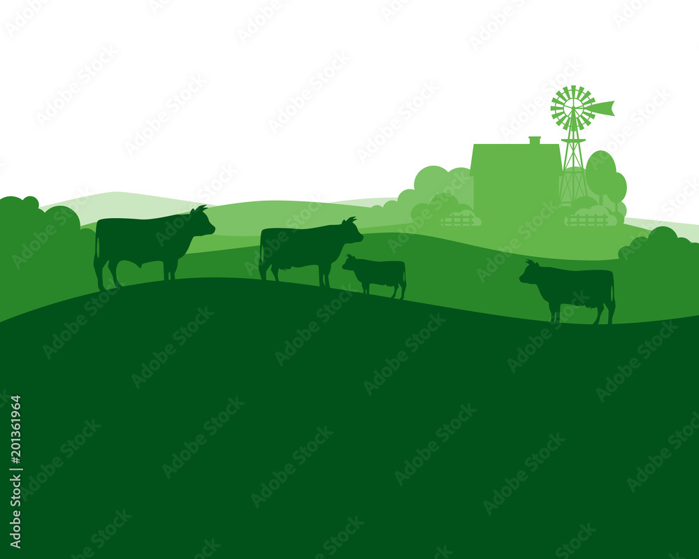 Rural landscape with milk farm and herd cows. - obrazy, fototapety, plakaty 