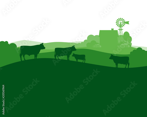 Rural landscape with milk farm and herd cows.