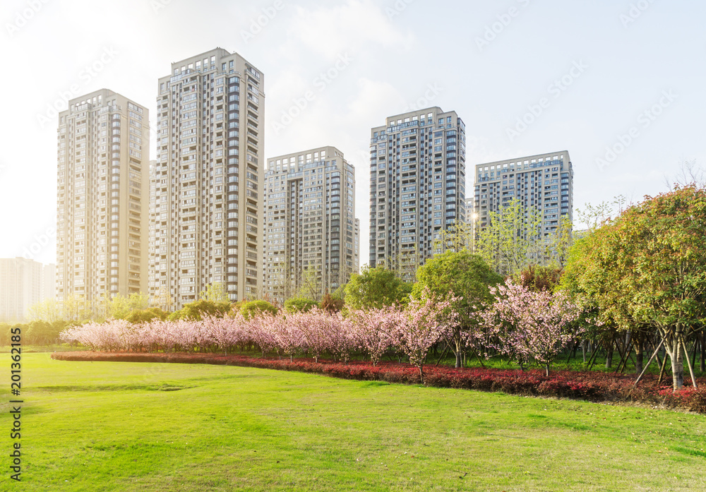 Fototapeta premium green lawn with modern building in park