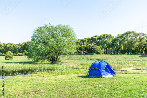 camping tent on the grass