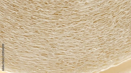 Roll of paper kitchen towels texture photo