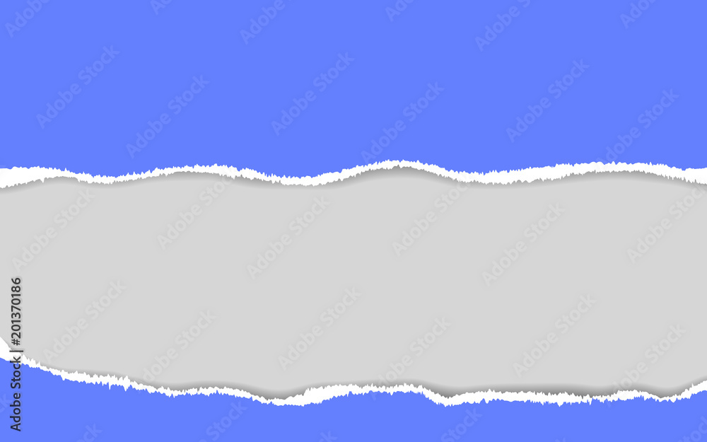 Ripped paper. Vector of ripped paper. the paper was ripped background. Ripped paper. Vector of ripped paper. the paper was ripped background.