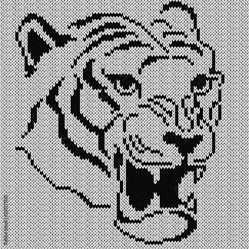 Fototapeta Naklejka Na Ścianę i Meble -  Angry Tiger Knitting Portrait