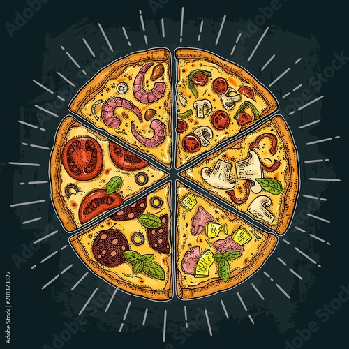 Slice pizza Pepperoni, Hawaiian, Margherita, Mexican, Seafood, Capricciosa. Engraving