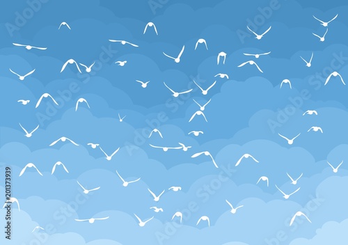 Sky with birds.