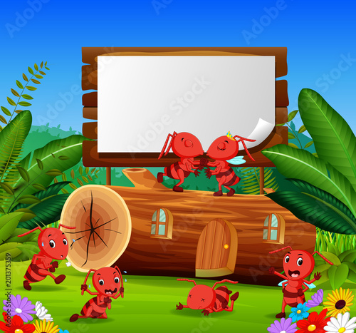 ants and beautiful wooden house with a wooden sign