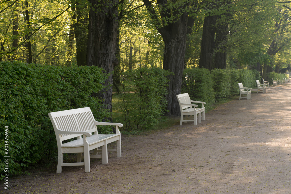 white banches  in Lazienki Park Warsaw Poland