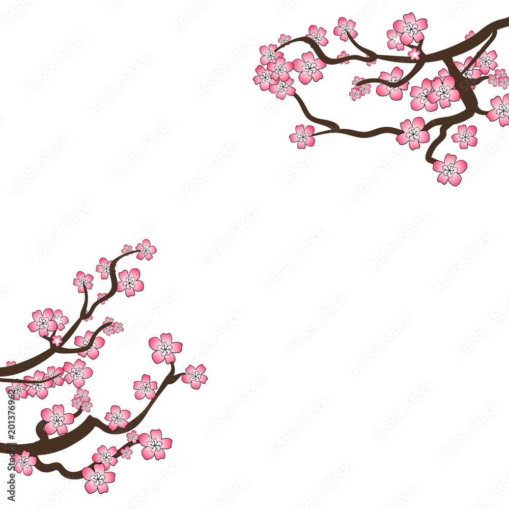 VECTOR Sakura Frame, Blooming Branches Isolated on White Background, Blank Design Template, Cherry Flowers.