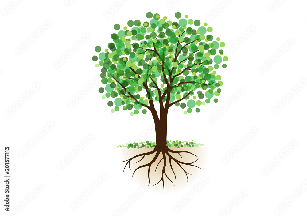 Obraz premium 根っこ付きの木