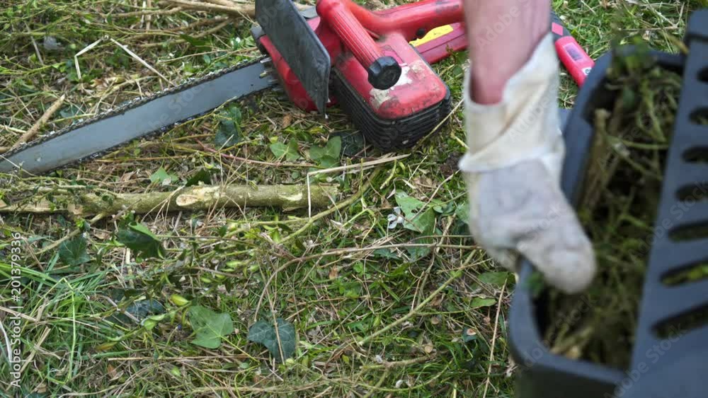 A man in the garden is laying wooden branches in the machine for shredding.