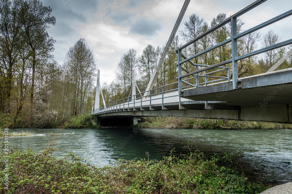 Fototapeta premium Park Bridge 2