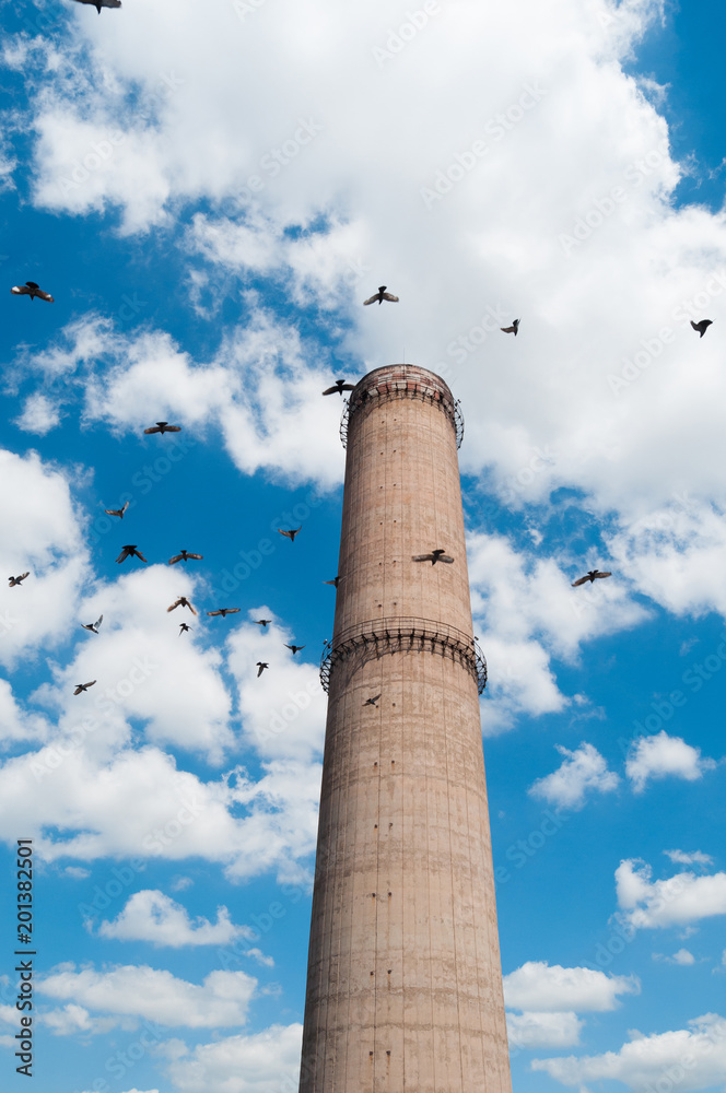 Industrial chimney surrounded by pigeons