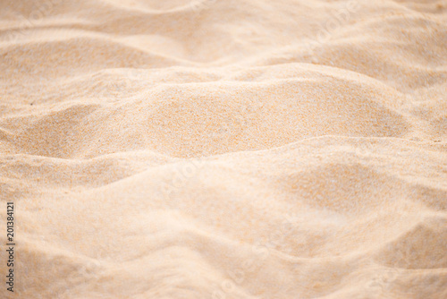 grain of sand and beach theme