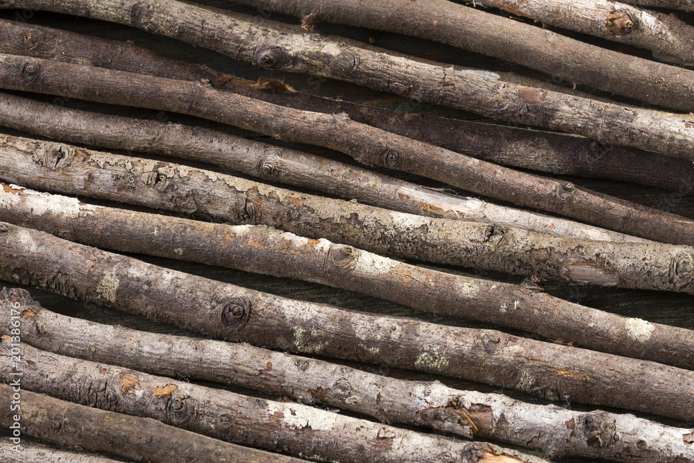 Rustic wood background - texture Rustic wood background - texture