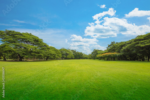 Fototapeta Naklejka Na Ścianę i Meble -  Green grass green trees in beautiful park white Cloud blue sky in noon.