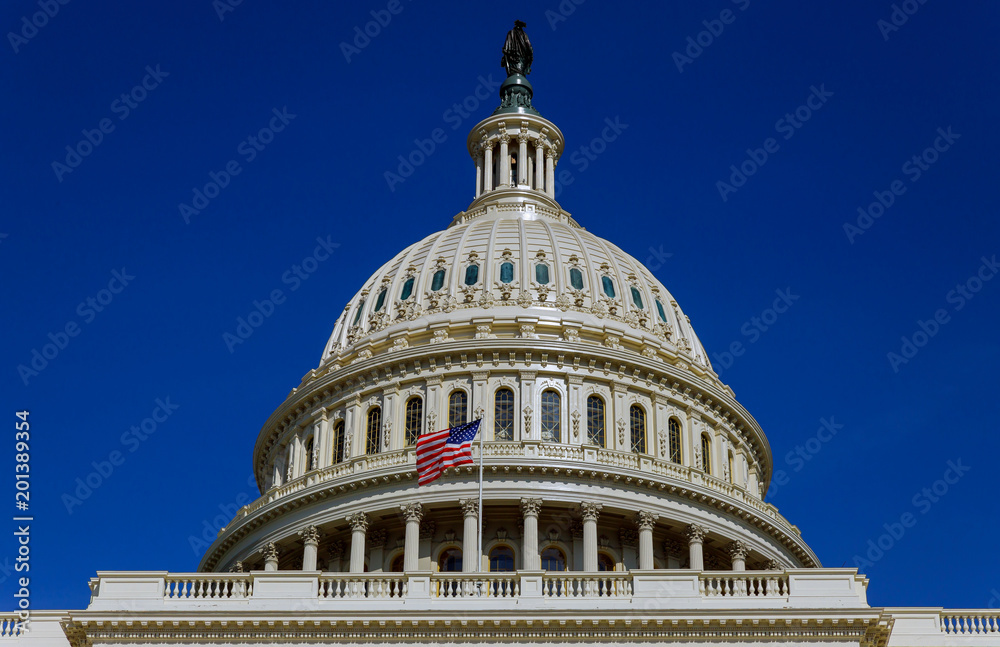 Capitol Building scenic view, Washington DC, USA