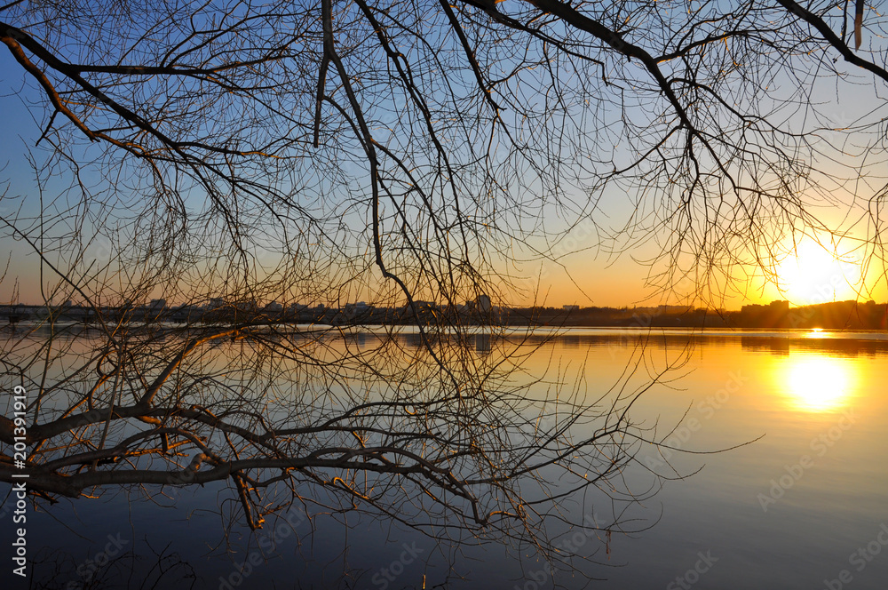 Sunset against the background of a river and branches of trees Sunset against the background of a river and branches of trees