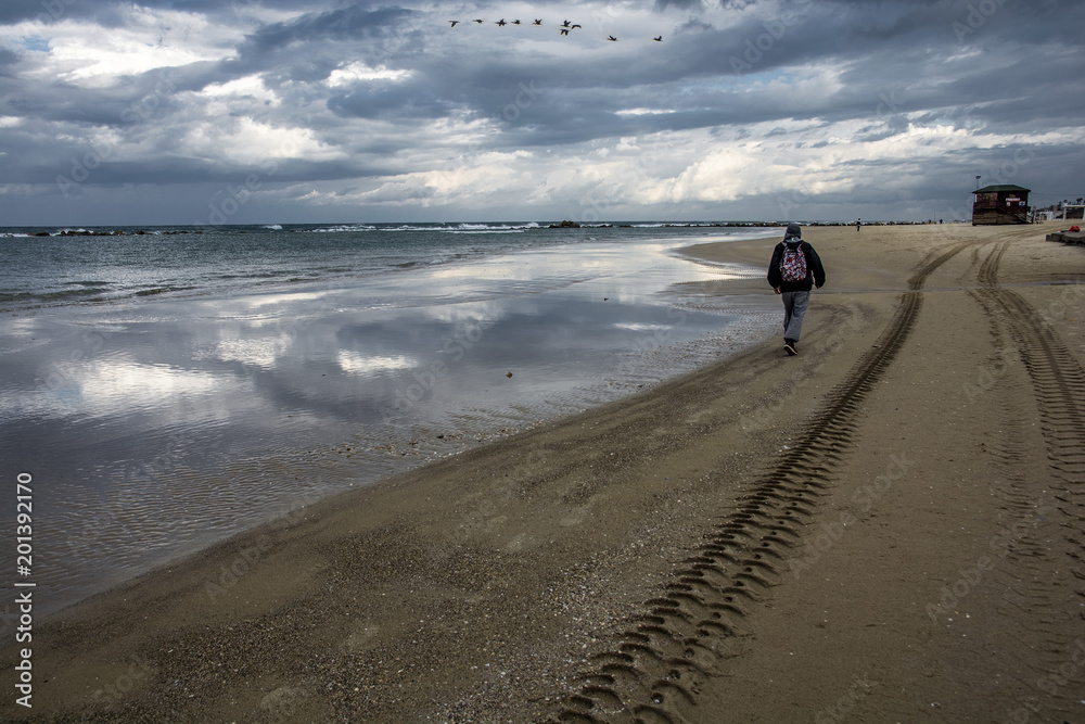 Naklejka premium Перелетные птицы.