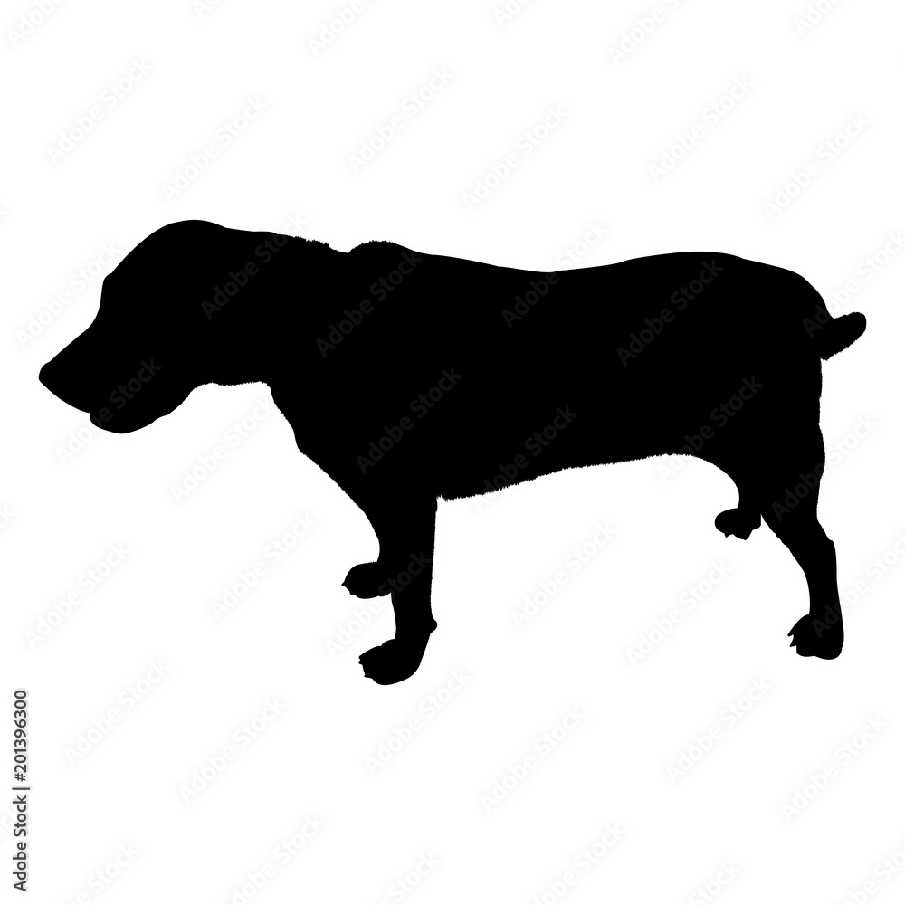 labrador dog silhouette isolated on white background vector illustration