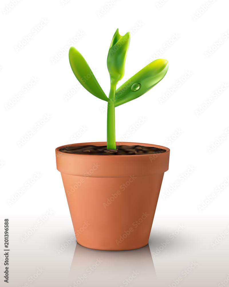 Single green realistic sprout in a pot isolated on green backgrond. Vector illustration. For poster, banner, eco concept. Water drop on leaf Single green realistic sprout in a pot isolated on green backgrond. Vector illustration. For poster, banner, eco concept. Water drop on leaf