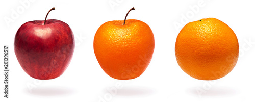 Normal apple, orange and apple with orange peel