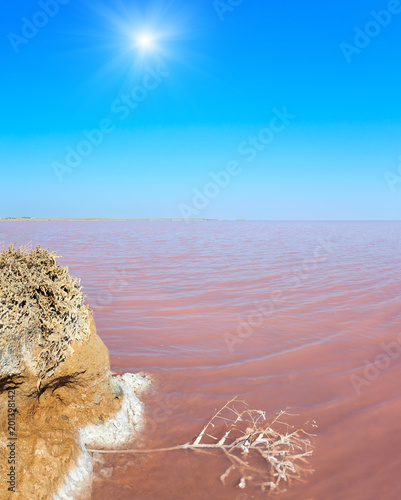 Pink salty Syvash Lake, Ukraine photo