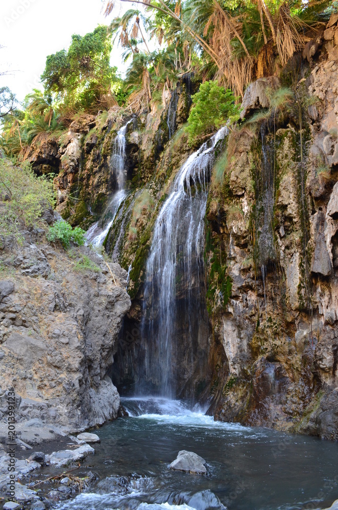 udzuwa tanzanie