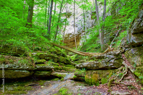 Schlucht unterhalb der Falkensteiner Höhle, Schwäbische Alb photo