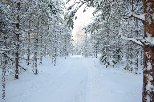 Winter walk, Lulea, Sweden © Jonathan