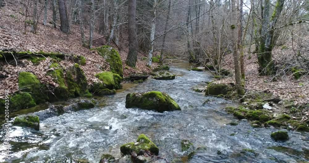 rivière dans une forêt en France