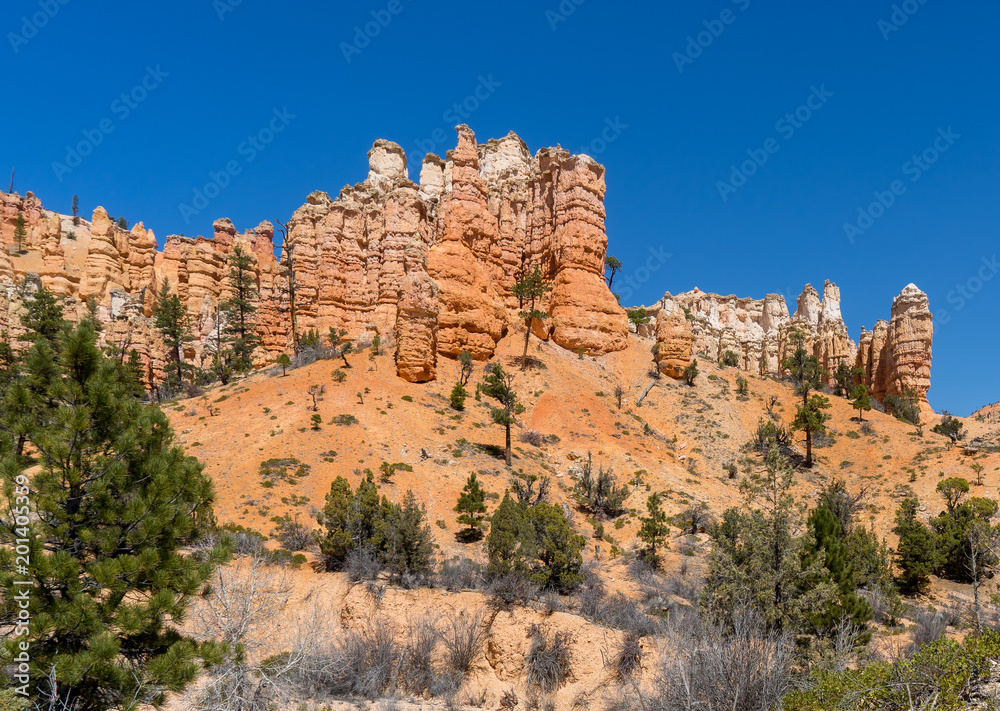 Mossy Cave Trail