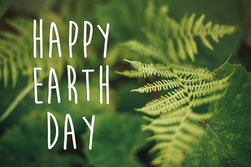 happy earth day text, concept. beautiful fern leaf and moss  in woods. fern leaves in sunny forest. environmental protection . earth protection
