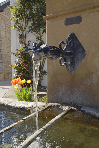 rathausbrunnen in rommersheim photo