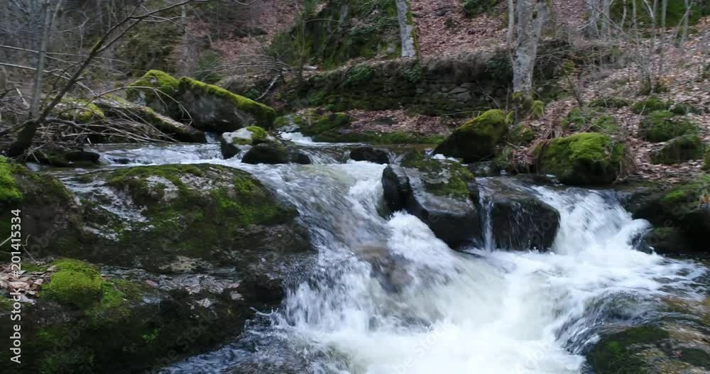 rivière dans une forêt en France