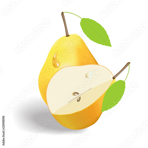 vector image of two yellow pears