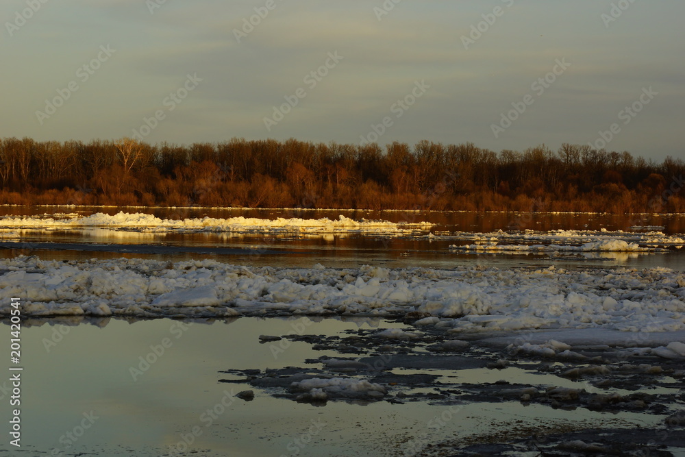 ice drift on the river. sunset. ice floes floating on the water. spring melts the ice cracks