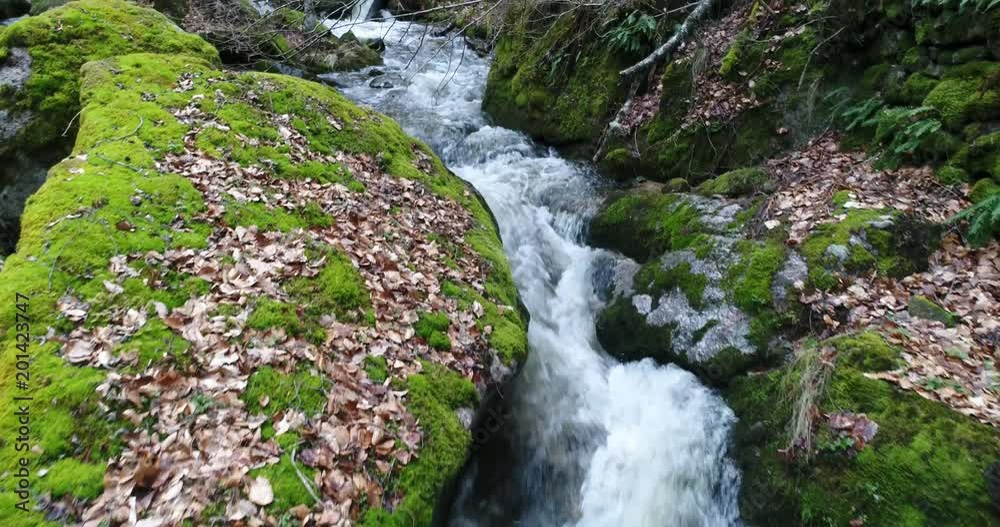 rivière dans une forêt en France
