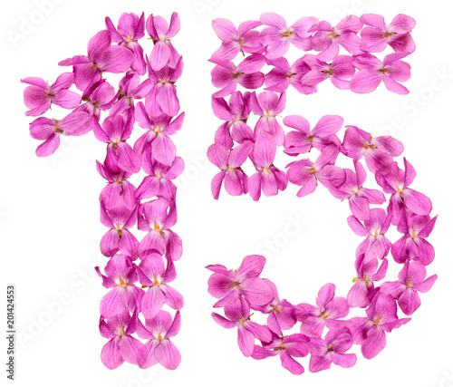 Arabic numeral 15  fifteen  from flowers of viola  isolated on white background