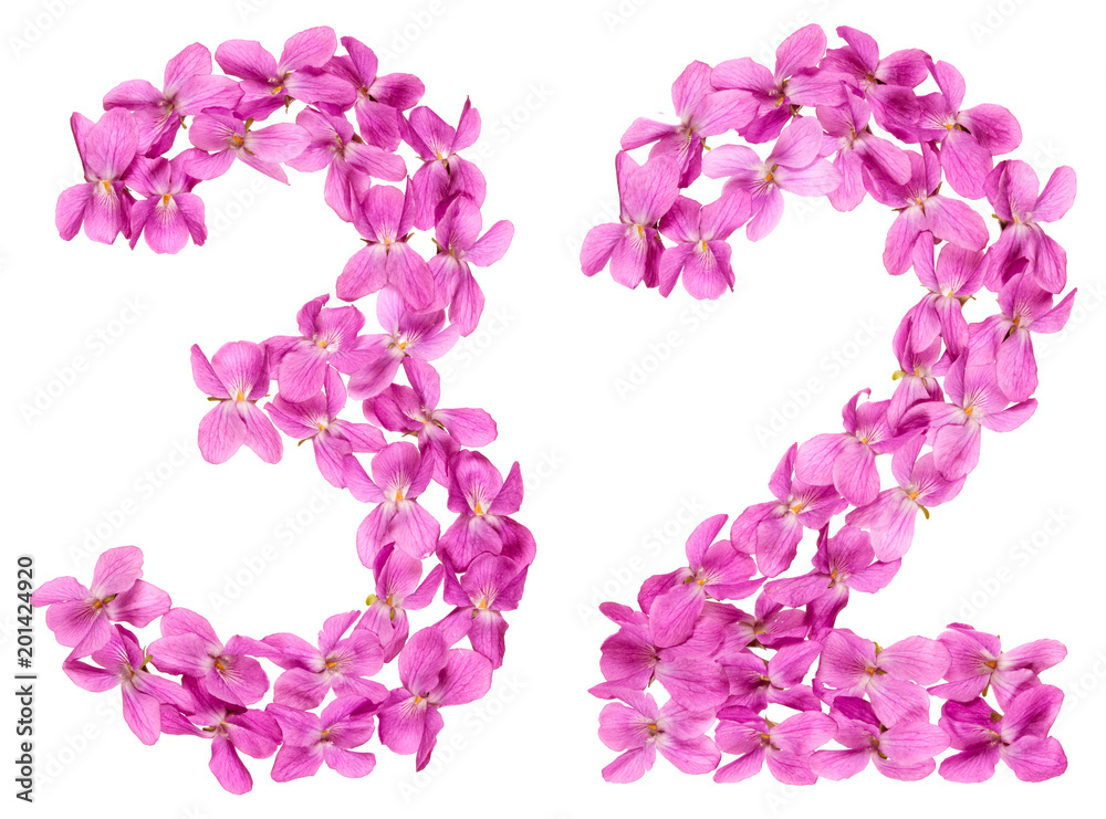 Arabic numeral 32, thirty two, from flowers of viola, isolated on white background