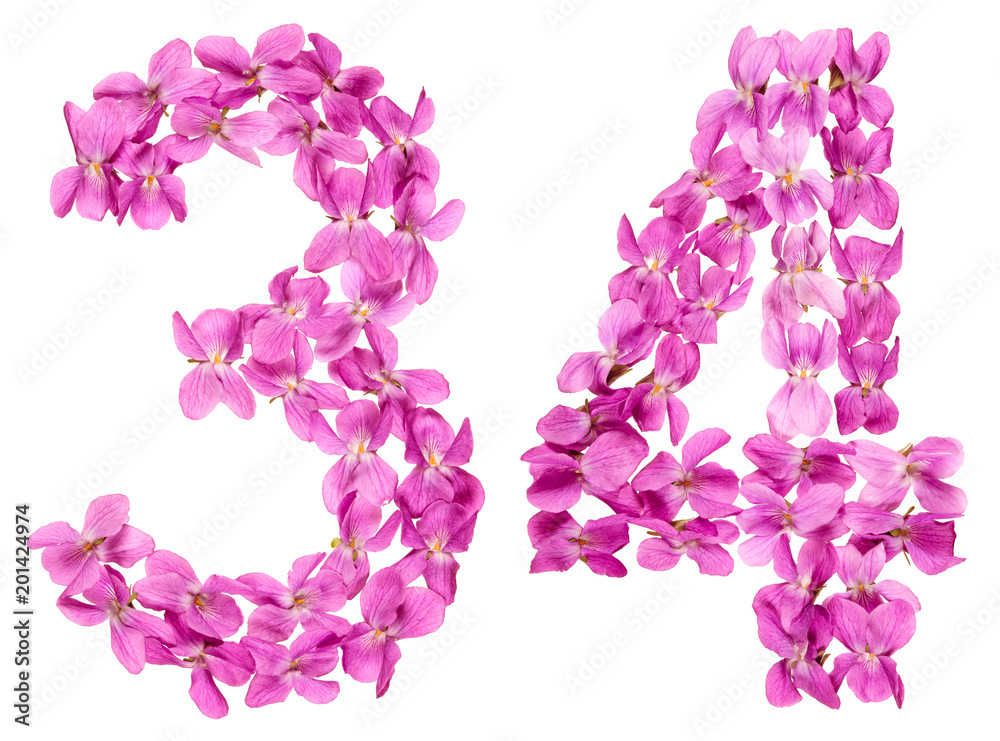 Arabic numeral 34, thirty four, from flowers of viola, isolated on white background Arabic numeral 34, thirty four, from flowers of viola, isolated on white background