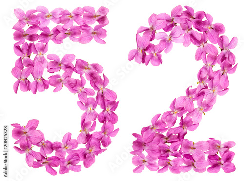 Arabic numeral 52, fifty two, from flowers of viola, isolated on white background