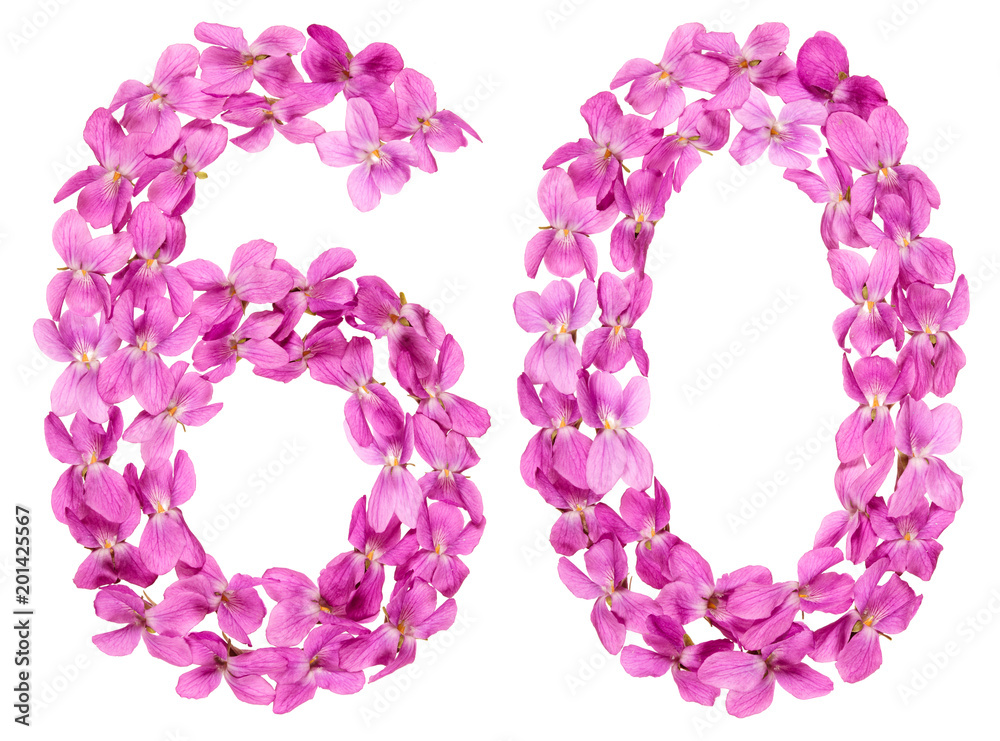 Arabic numeral 60, sixty, from flowers of viola, isolated on white background