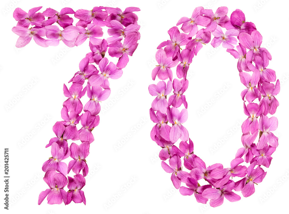 Arabic numeral 70, seventy, from flowers of viola, isolated on white background