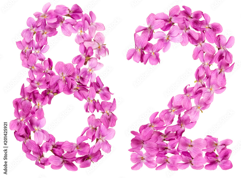 Arabic numeral 82, eighty two, from flowers of viola, isolated on white background